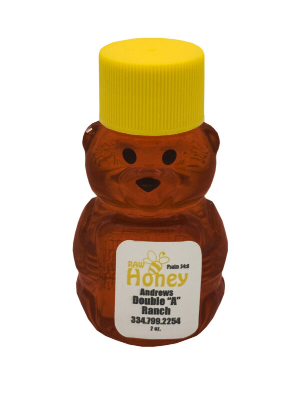 Dark Spring Raw Honey