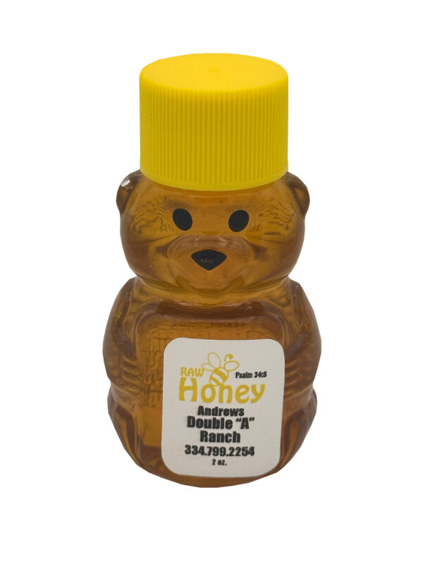Honey Bear Light Honey 2 oz Wildly Blessed