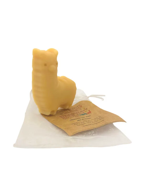 Wildly Blessed Soap Bar with Bag