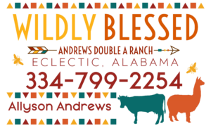 Wildly Blessed | Local Honey Available in Eclectic, Alabama